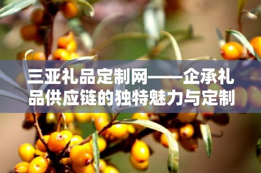 三亚礼品定制网——企承礼品供应链的独特魅力与定制体验
